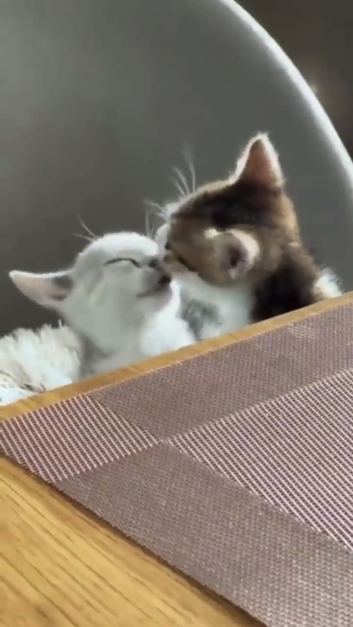 i NO aN AN