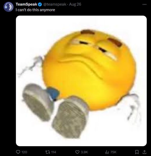 TeamSpeak can't this anymore