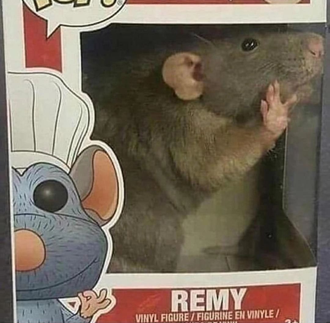 у i REMY FIGURE