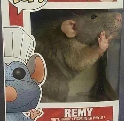 у i REMY FIGURE