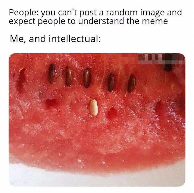 People: you can't post a random image and expect people to understand the meme Me, and intellectual:
