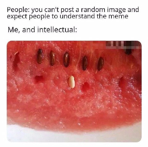 People: you can't post a random image and expect people to understand the meme Me, and intellectual: