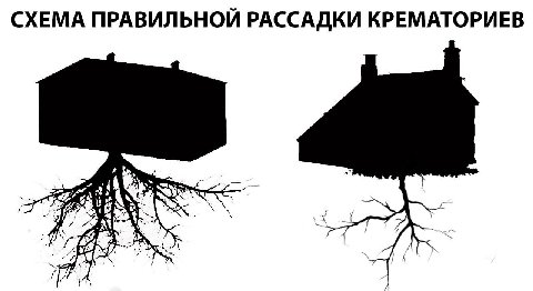 СХЕМА ПРАВИЛЬНОЙ РАССАДКИ КРЕМАТОРИЕВ