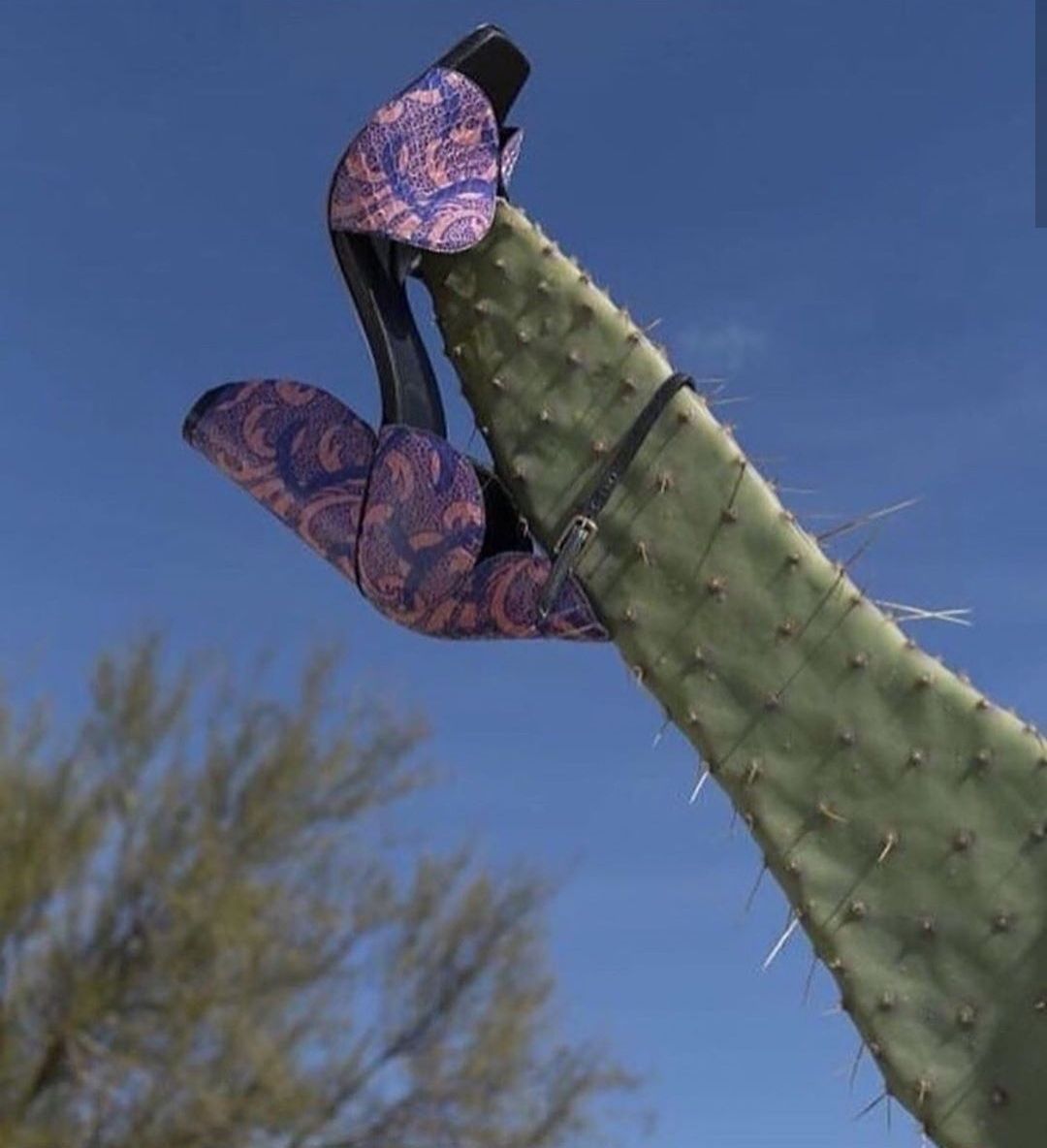 4 Wea 4 у a я 4 у 1 4 я 4 и 4 4