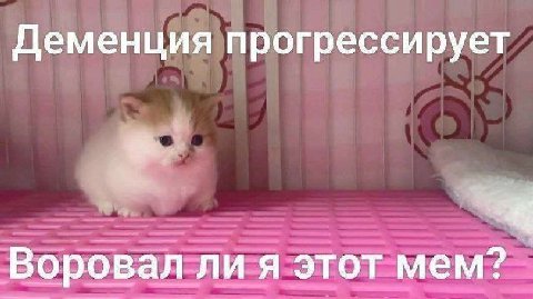 Деменция прогрессирует Воровал ли я этот мем?