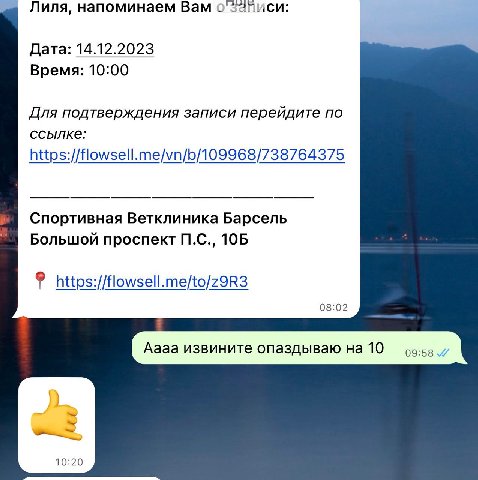 Лиля, напоминаем Вам о'53йиси: Дата: 14.12.2023 Время: 10:00 Для подтверждения записи перейдите по ссылке: https://flowsell.me/vn/b/109968/738764375 Спортивная Ветклиника Bapcenb Большой проспект 10Б 
