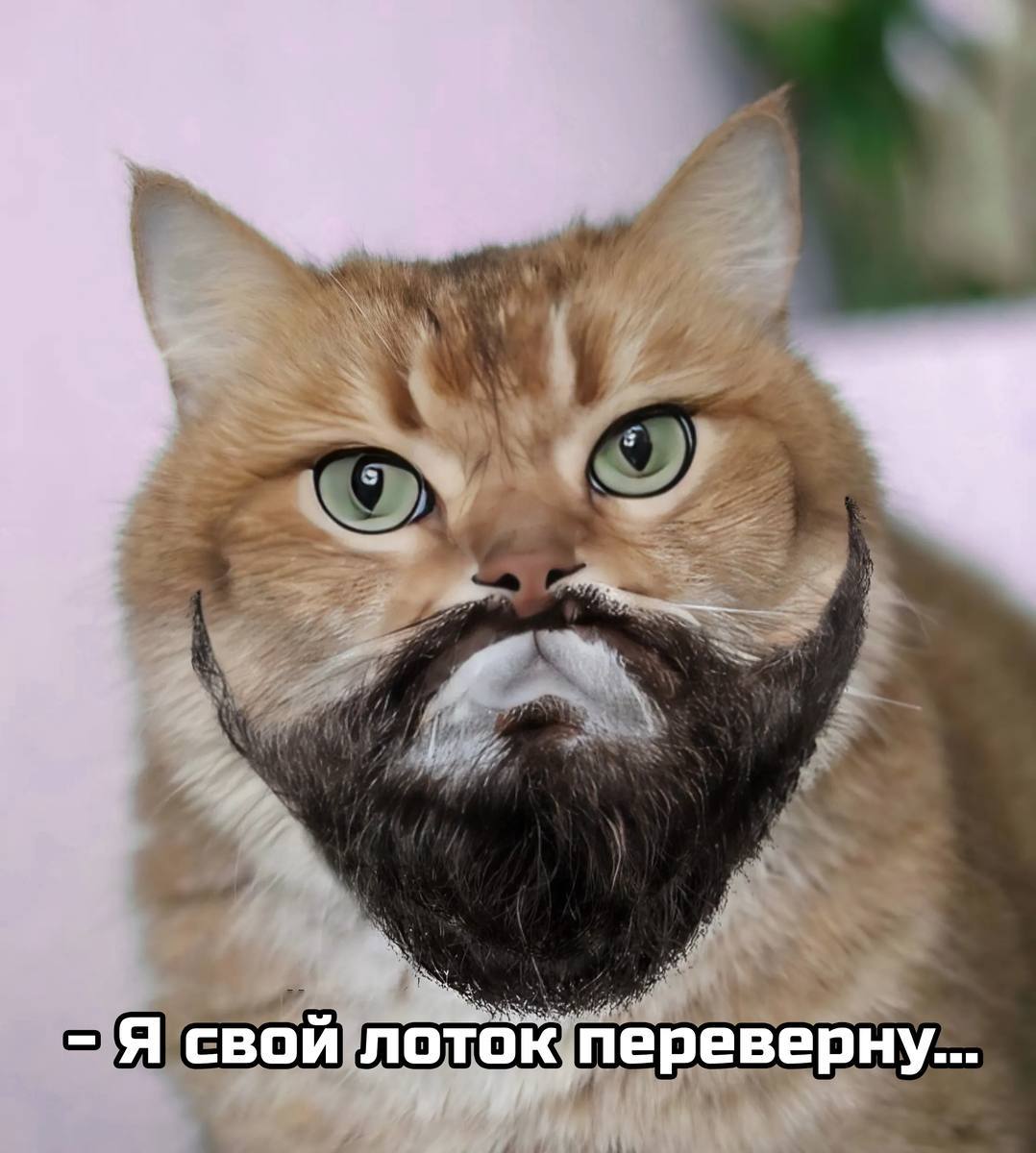 Я свой лоток переверну...