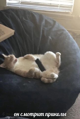 он смотрит приколы
