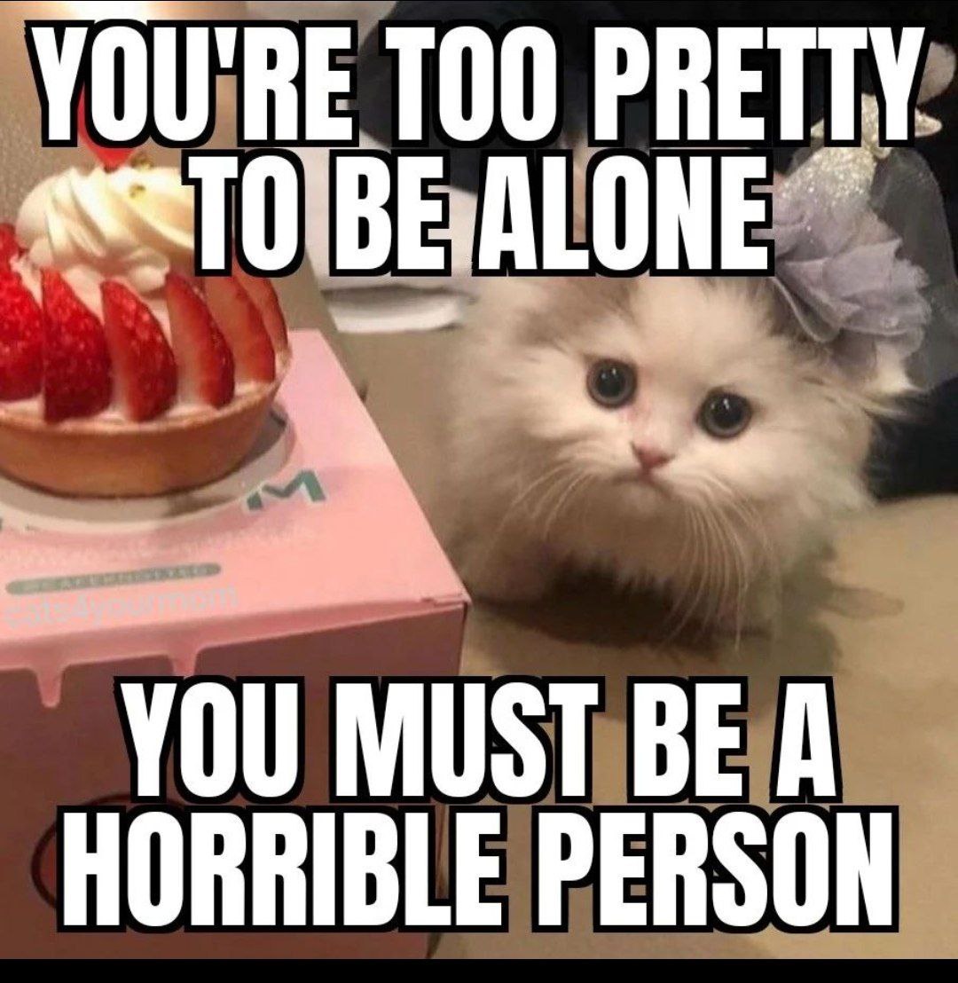 YOU'RE TOO PRETTY YOU MUST BE A HORRIBLE PERSON