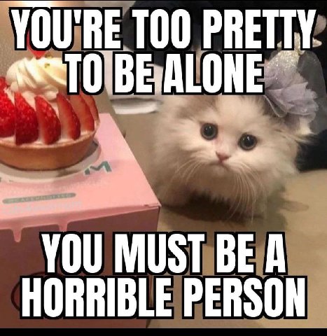 YOU'RE TOO PRETTY YOU MUST BE A HORRIBLE PERSON