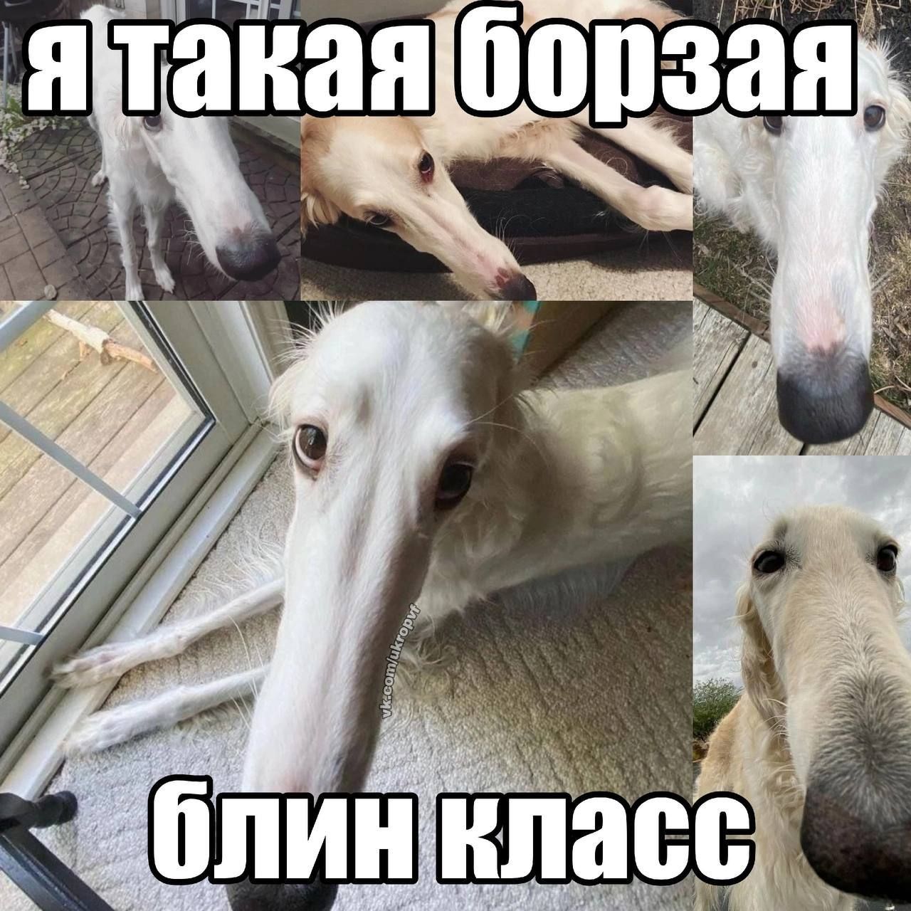 такая an 10 i a 1 ЛИ