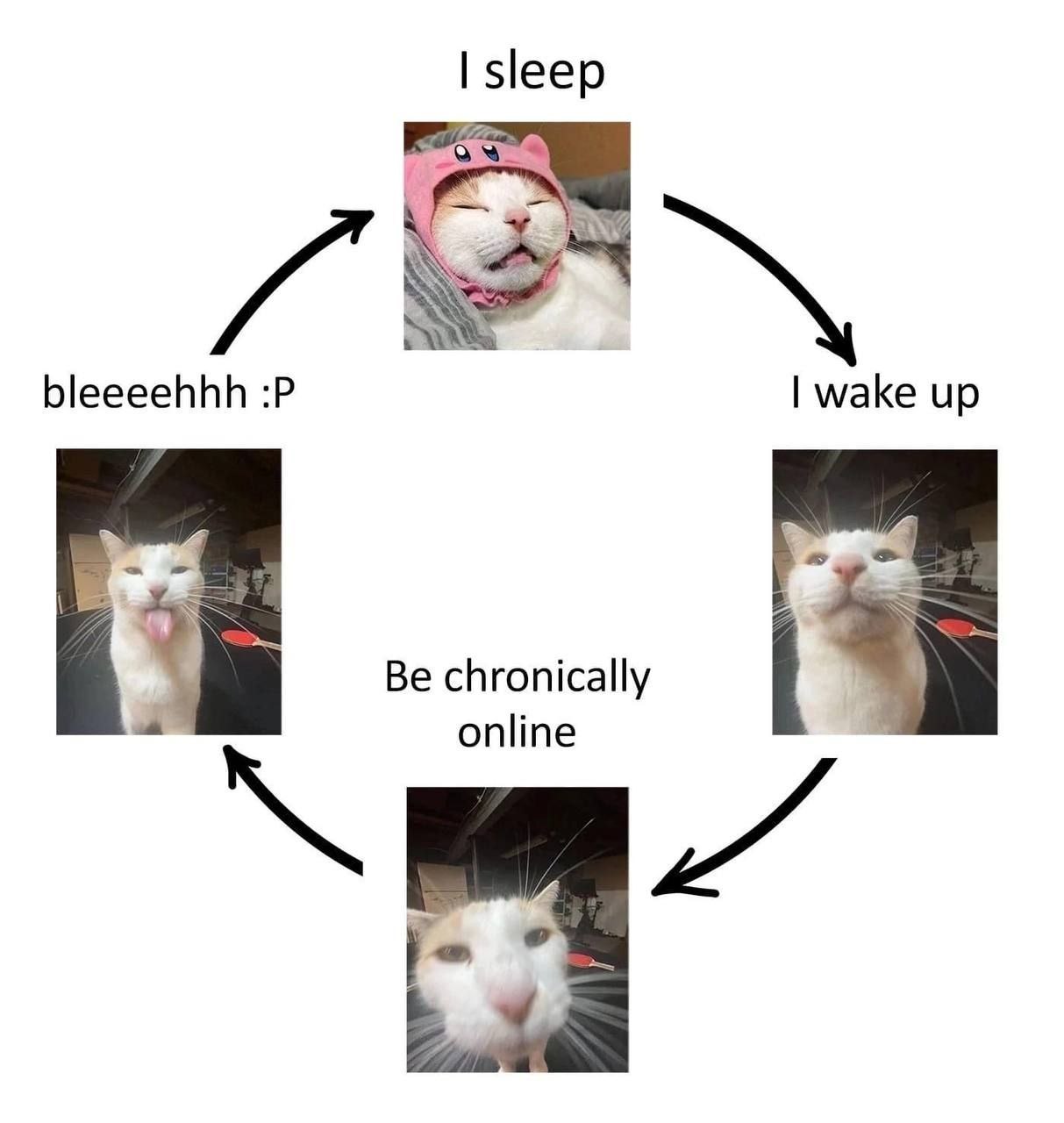 sleep bleeeehhh wake up Be chronically online