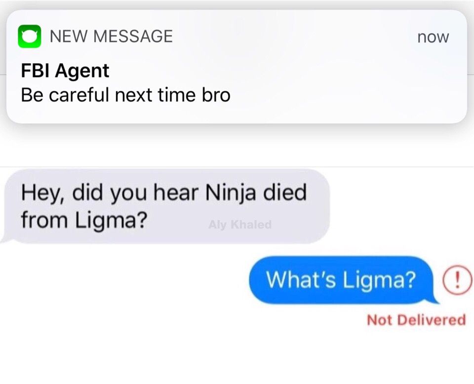 NEW MESSAGE now FBI Agent Be careful next time bro Hey, did you hear Ninja died from Ligma? What's Мата? Not Delivered