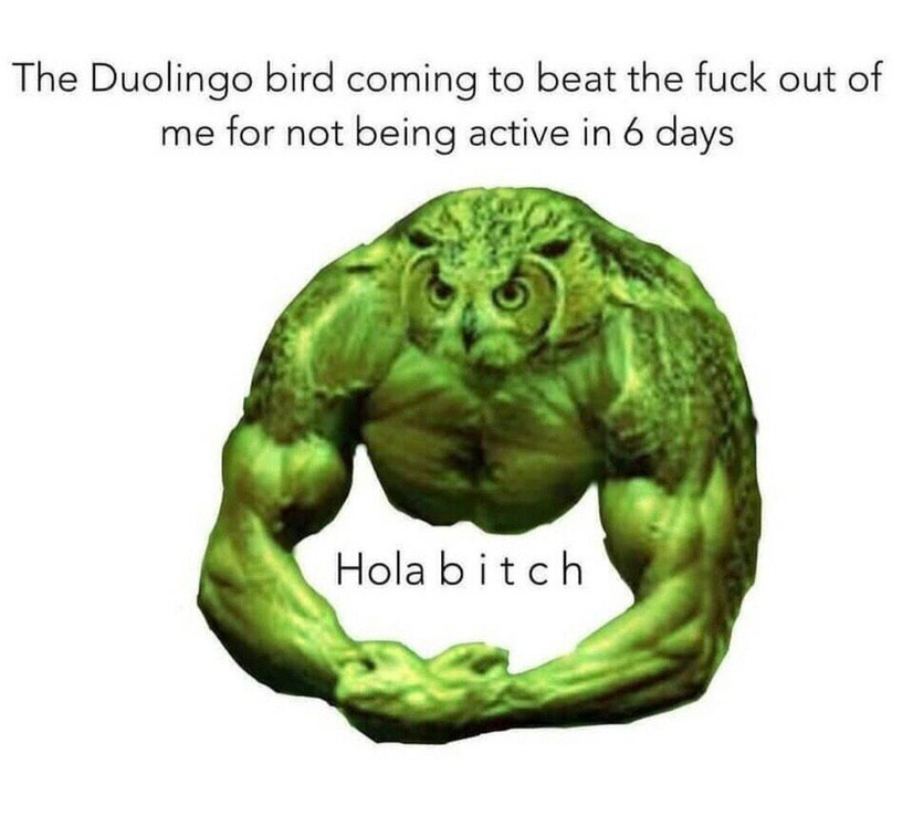 The Duolingo bird coming to beat the fuck out of me for not being active in 6 days