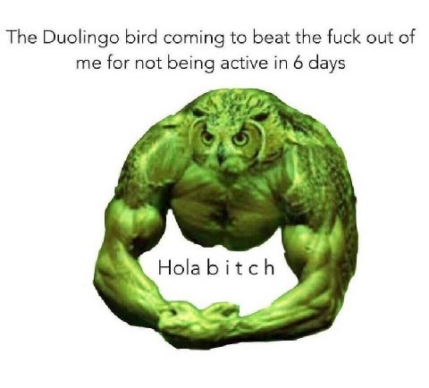 The Duolingo bird coming to beat the fuck out of me for not being active in 6 days