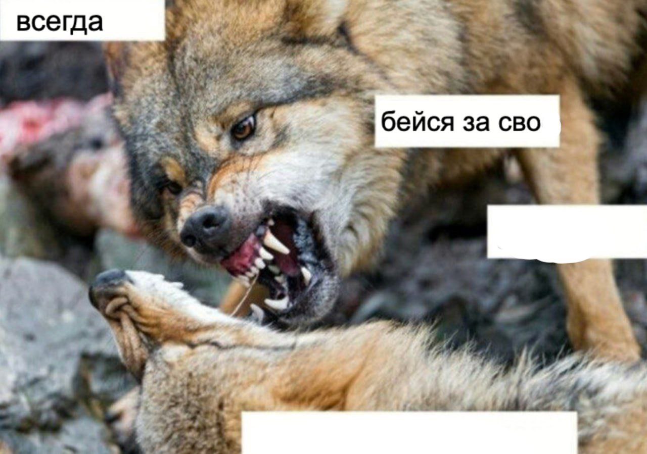 всегда бейся за CBO и