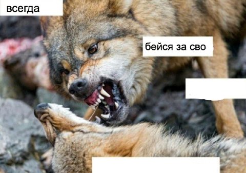всегда бейся за CBO и