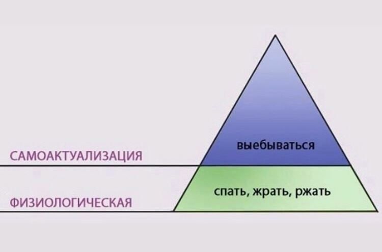 САМОАКТУАЛИЗАЦИЯ спать, жрать, ржать ФИЗИОЛОГИЧЕСКАЯ