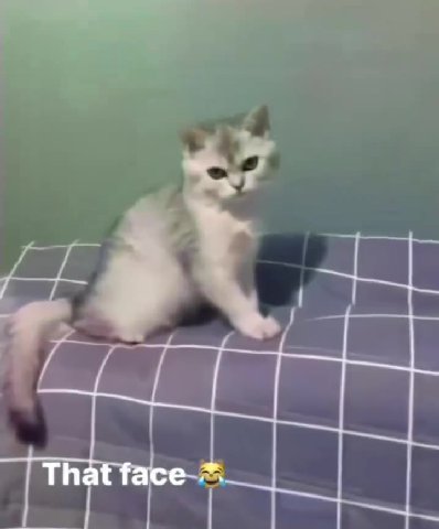 face