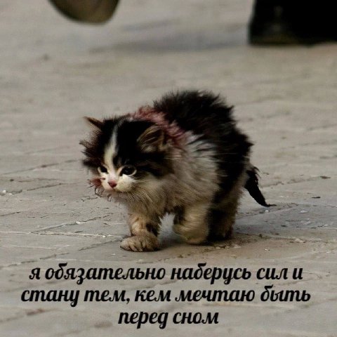 A я обязательно наберусь сил и стану тем, кем мечтаю перед сном