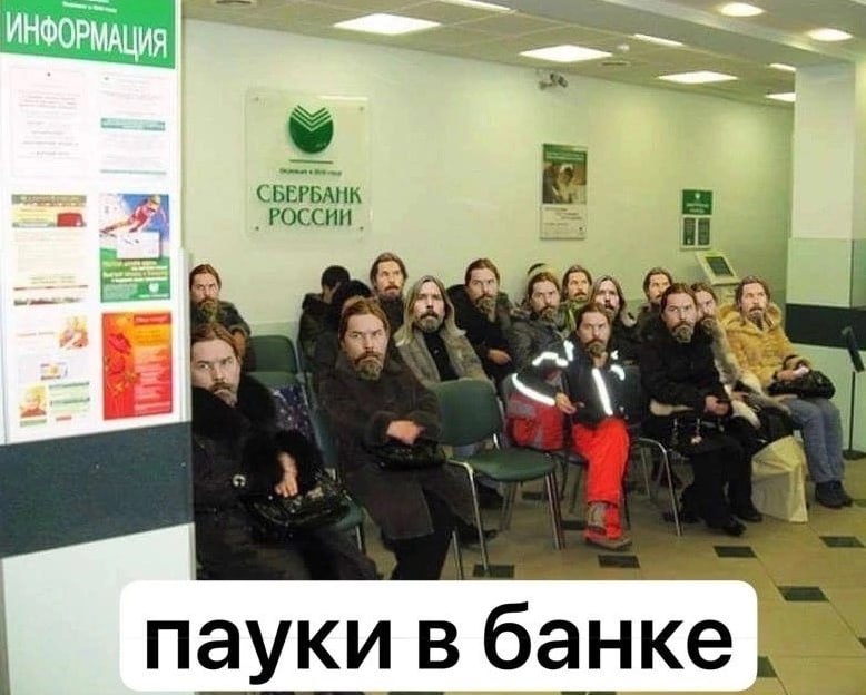 ИНФОРМАЦИЯ a Пауки в банке