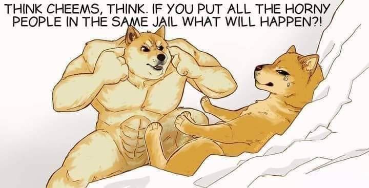 THINK CHEEMS, THINK. IF YOU РОТ ALL THE HORNY PEOPLE IN THE SAME JAIL WHAT WILL HAPPEN?! Я У