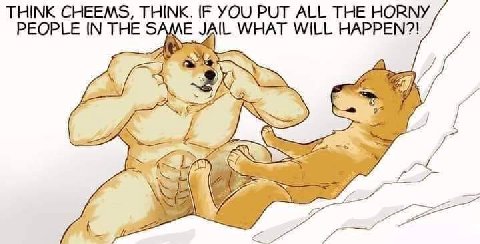 THINK CHEEMS, THINK. IF YOU РОТ ALL THE HORNY PEOPLE IN THE SAME JAIL WHAT WILL HAPPEN?! Я У