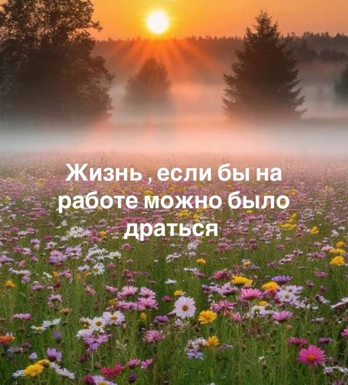 Жизнь ‚если бы на работе можно было драться