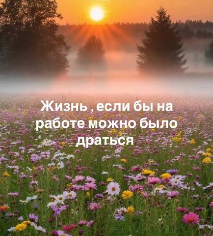 Жизнь ‚если бы на работе можно было драться
