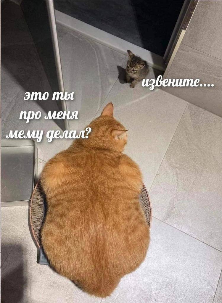 извенште.... amo про меня мему делал at A, AS he 2.