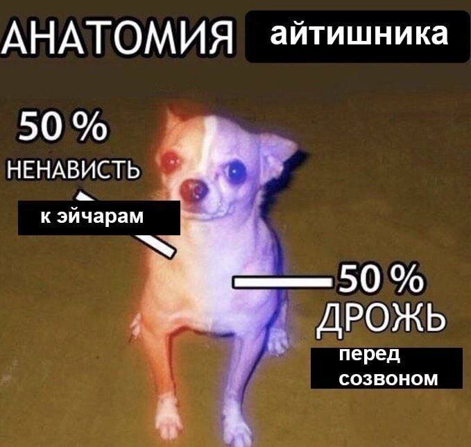 АНАТОМИЯ айтишника 50 НЕНАВИСТЬ к эйчарам ДРОЖЬ перед CO3BOHOM A