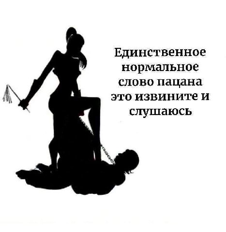 Единственное нормальное слово пацана это извинитеи А слушаюсь