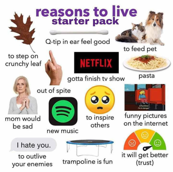 reasons to live starter pack in ear feel to feed to step on crunchy leaf gotta finish show pasta out of spite mom would to inspire funny pictures others on the internet be sad new music уси. 4 to outl