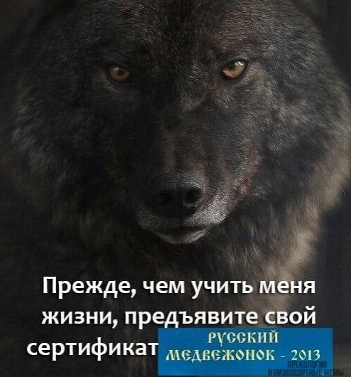 Прежде, чем учить мен жизни, предъявите свой РУССКИЙ 2013 сертификат жел