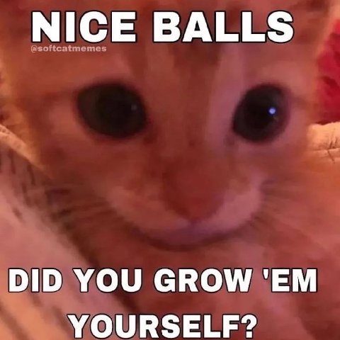 NICE BALLS DID YOU GROW YOURSELF?