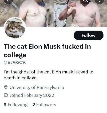 The cat Elon Musk fucked in college the ghost of the cat Elon musk fucked to death in college University of Pennsylvania Joined February 2022 9 Following