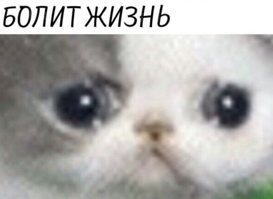 БОЛИТ ЖИЗНЬ