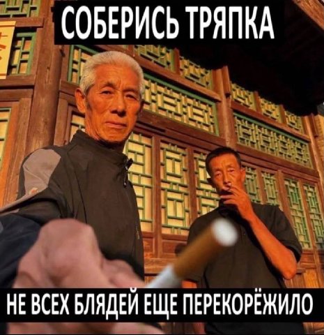 СОБЕРИСЬ ТРЯПКА НЕВСЕХ БЛЯДЕИ ЕЩЕ ПЕРЕКОРЕЖИЛО