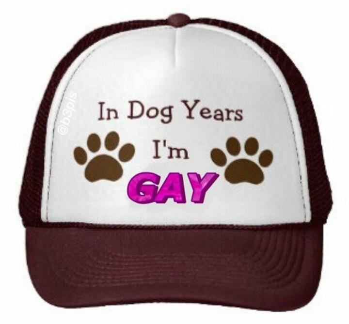 In Dog Years GAY