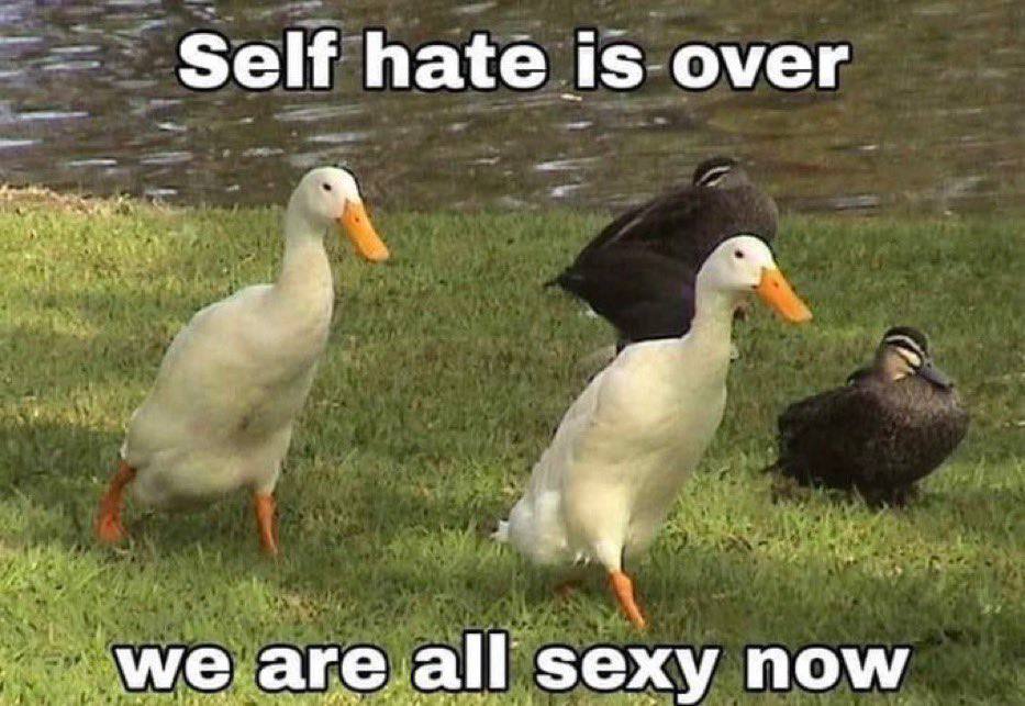 Self hate is over are all sexy now