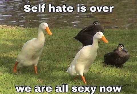 Self hate is over are all sexy now