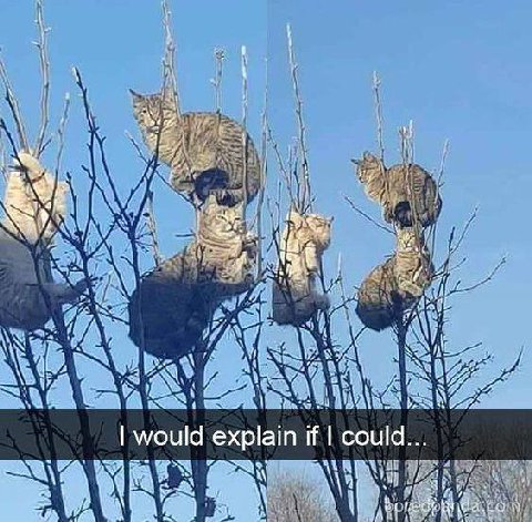 A would explain if could...