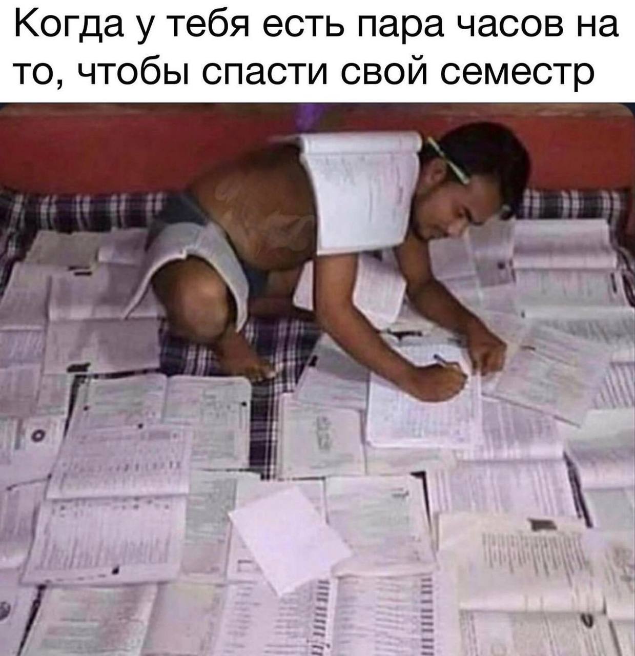 Когда у тебя есть пара часов на то, чтобы спасти свой семестр