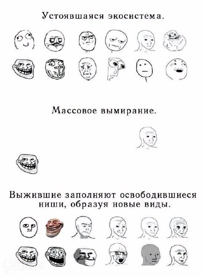 Устоявшаяся экосистема Массовое вымирание Выжившие заполняют освободившиеся НИШИ образуя новые виды 5