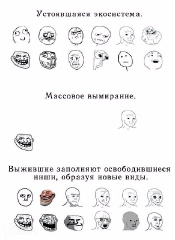Устоявшаяся экосистема Массовое вымирание Выжившие заполняют освободившиеся НИШИ образуя новые виды 5