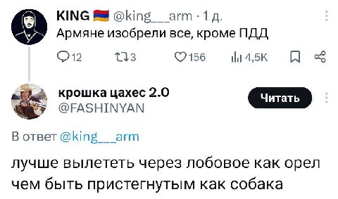 KING 1 о Армяне изобрели все, кроме ПДД ©2156 крошка цахес 2.0 @FASHINYAN В ответ @king агт лучше вылететь через лобовое как орел чем быть пристегнутым как собака