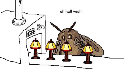 hell yeah бра