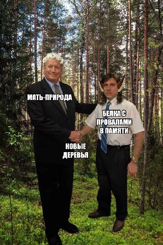wae 8 As Rew 4 МАТЬ-ПРИРОДА 2 i BENKAC ПРОВАЛАМИ В ПАМЯТИ НОВЫЕ ДЕРЕВЬЯ