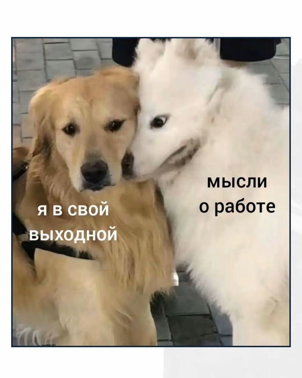 5 мысли Я В СВОЙ о работе выходной