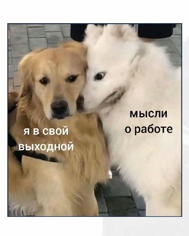 5 мысли Я В СВОЙ о работе выходной